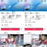 抖音账号涨粉案例